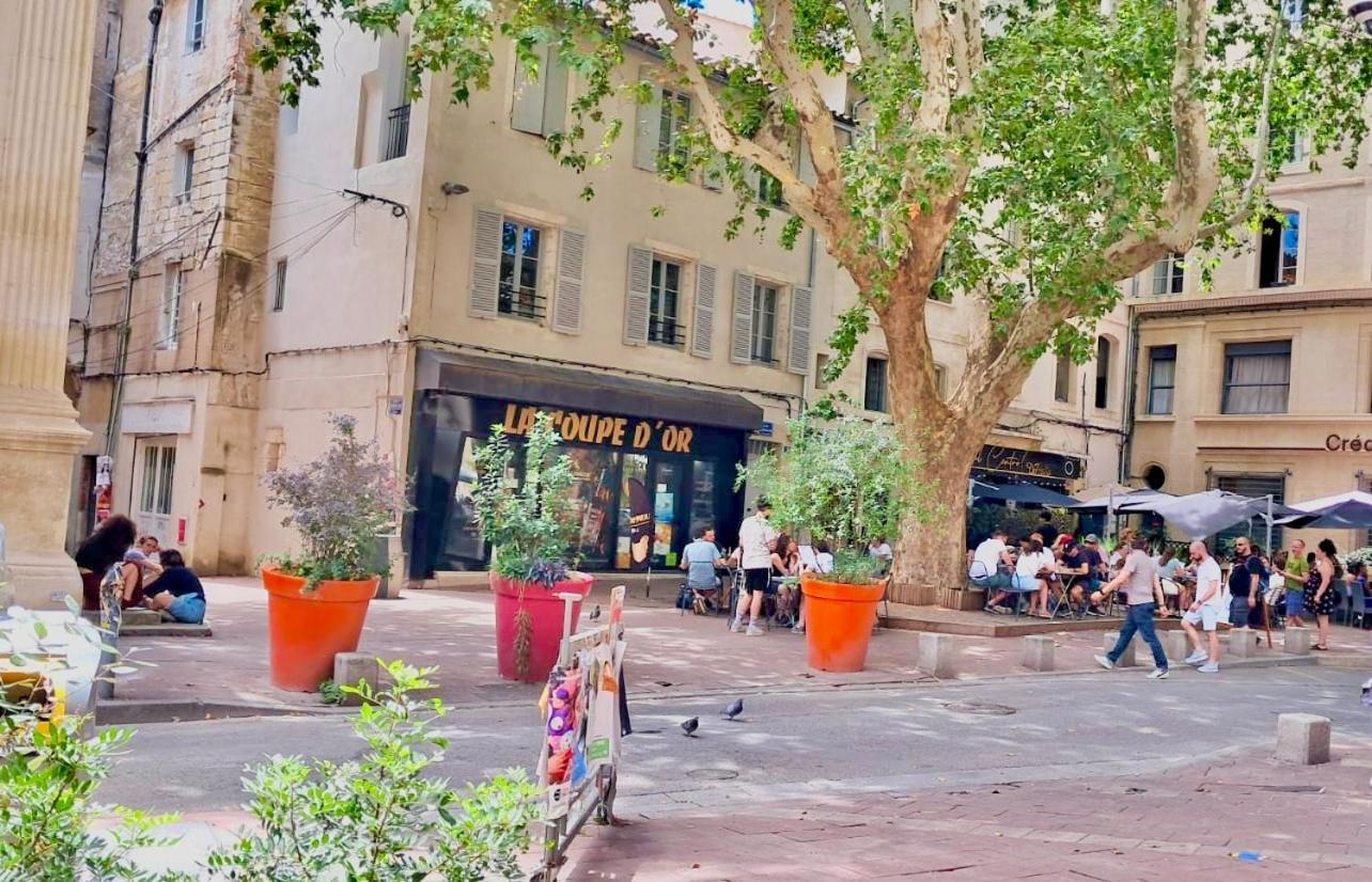 Avignon Pedestrian Area, Charming, 4 Persons Apartment Exterior photo